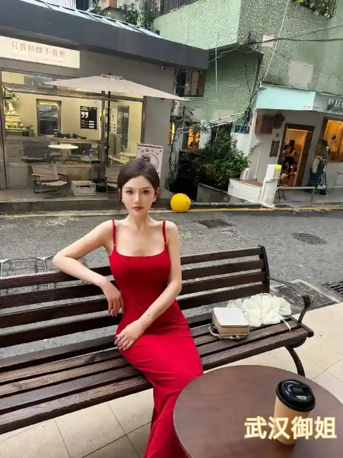 紫川盗版网站流量分析